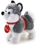 Mała maskotka, Husky, 15 cm