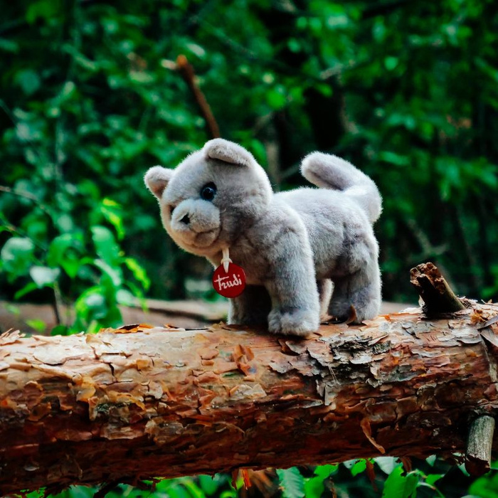 Maskotka dla dzieci Kotka szara Trudi