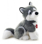 Pluszak pies - husky Marcus, 34 cm
