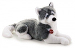 Pluszak pies - husky Marcus, 60 cm