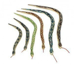 Przegubowy wąż, 3 wzory