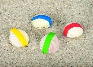 Magiczne muszelki Peggy Diggledey