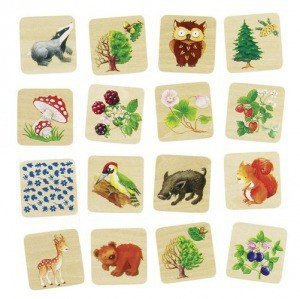 Memo w drewnianym pudełku, przyroda w lesie